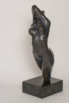 250828 Mus Vld Torso